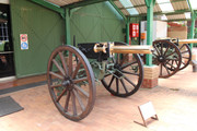IMG-1446