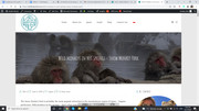 My-old-blog-post-comments-meta-missing