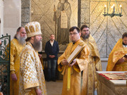 In Shot 20260212 191756875