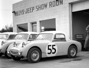  1959 International Championship for Makes 59-Seb55-A-Healey-Sebring-F-Hayes-Christy-J-Colgate