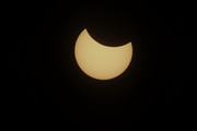 IMG-0348.jpg