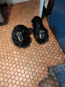 [Image: IMG-20211114-090749.jpg]