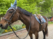 70518311251__925A2535-E7E0-452D-98DC-B54C06485962