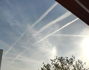 IMG_20220614_070652_1_1