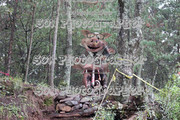 IMG-6335