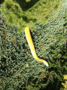 8F8DBA94-E915-4410-A0EB-492CAC3F4F64