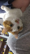 help-me