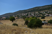Arachnaio-(14)