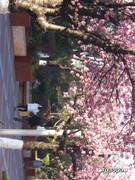 photo 10 2025 12 24 16 31 33