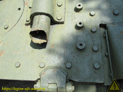 IMG-5596