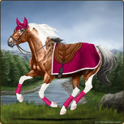 7. Hacking Trail set