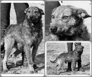 1.jpg&key=036f1f57353a94d23046bba8bbacfb