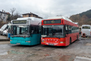 IMG-3371