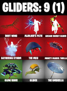 gliders-comp