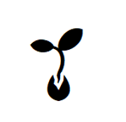 https://i.postimg.cc/30kk7rhF/picture2.png