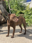 IMG_20230706_152135_026