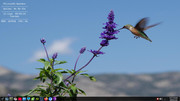 pclinuxos-Screenshot-2024-09-03-00-11-38.jpg