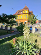 Obrázek