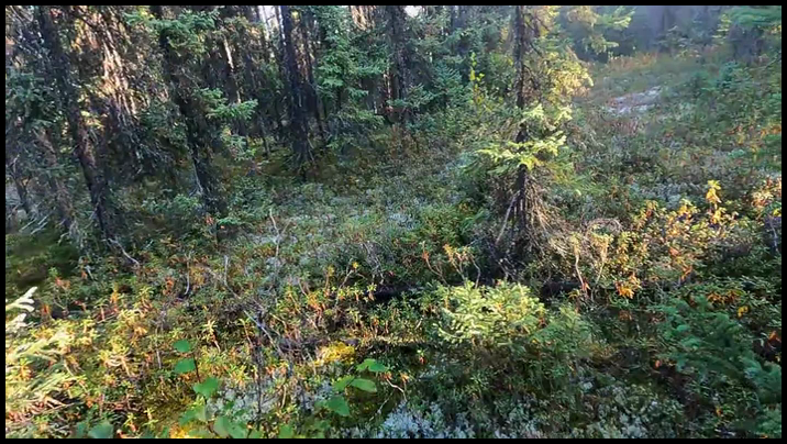 [Image: v7bs0s39tfpa.png]