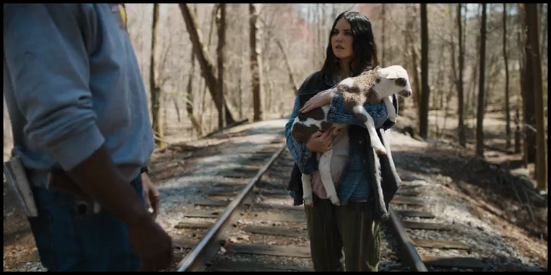 [Image: 4guyn4d47sft.png]