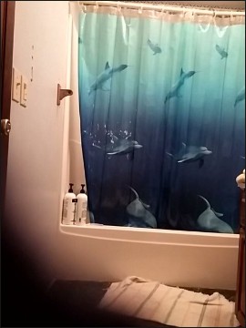 [Image: Voyeur40685133118.jpg]