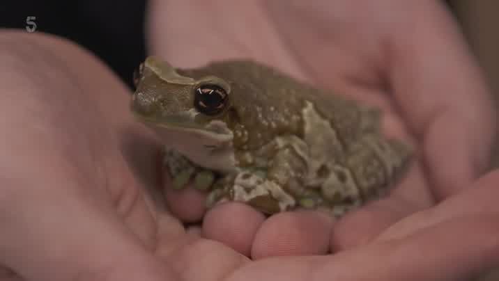 [Image: ipqrr4a2d69a.jpg]