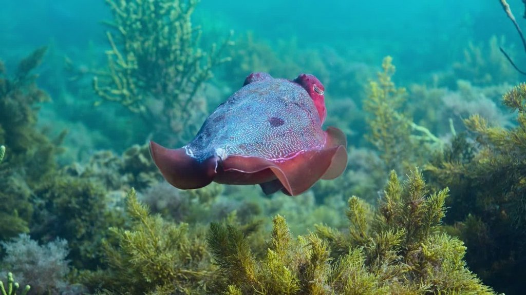 [Image: opqpsd93a22p.jpg]