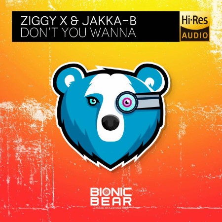 Ziggy X & Jka-B - Don't You Wanna (2020)