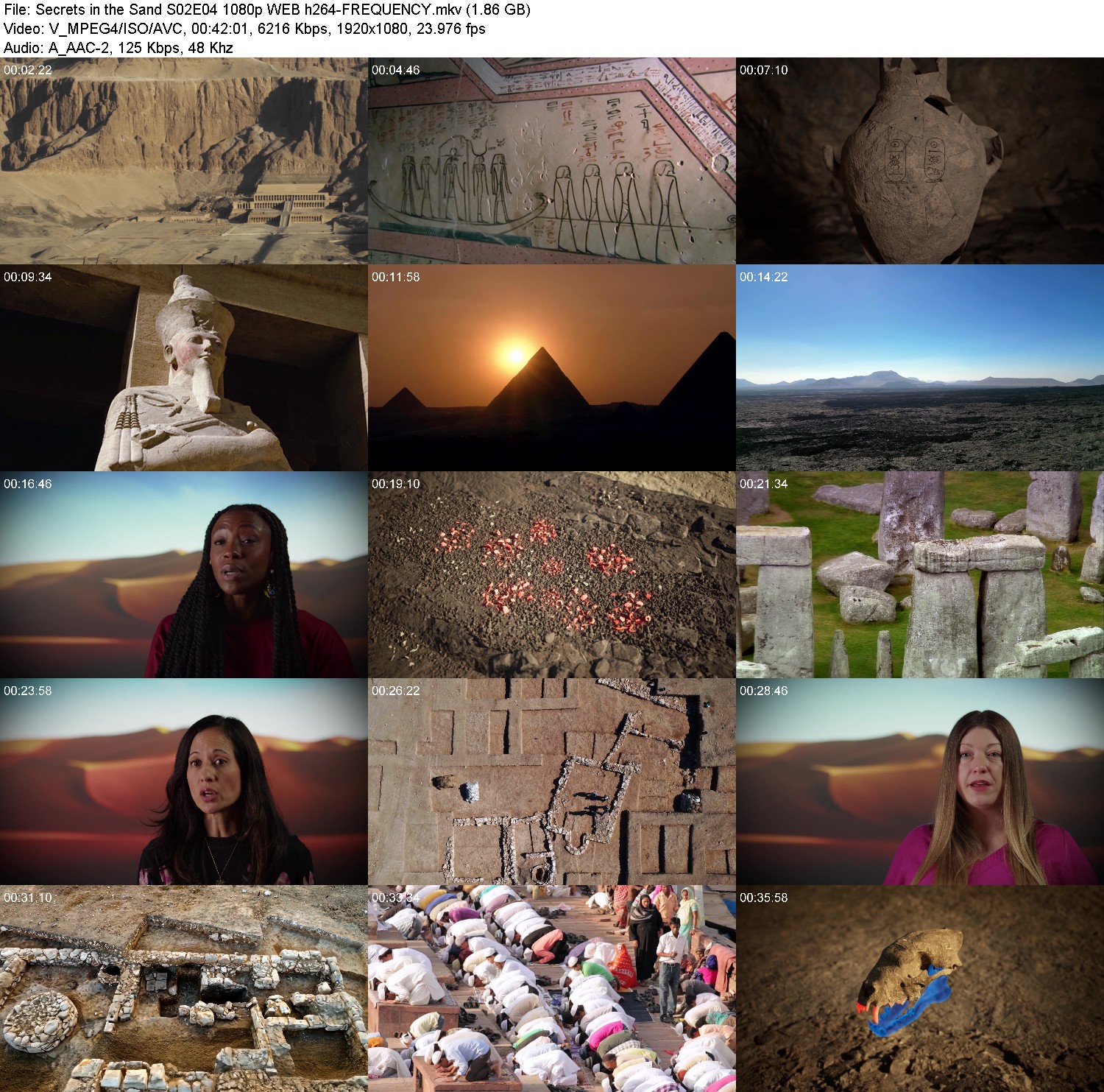 [Image: gxg9qg7cic91.jpg]