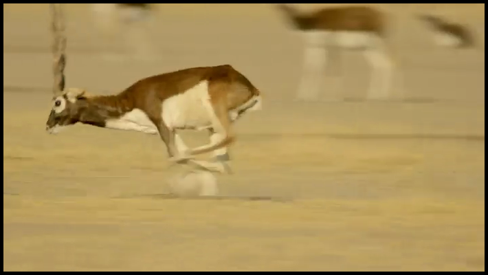 [Image: 7ytah6r34sho.png]