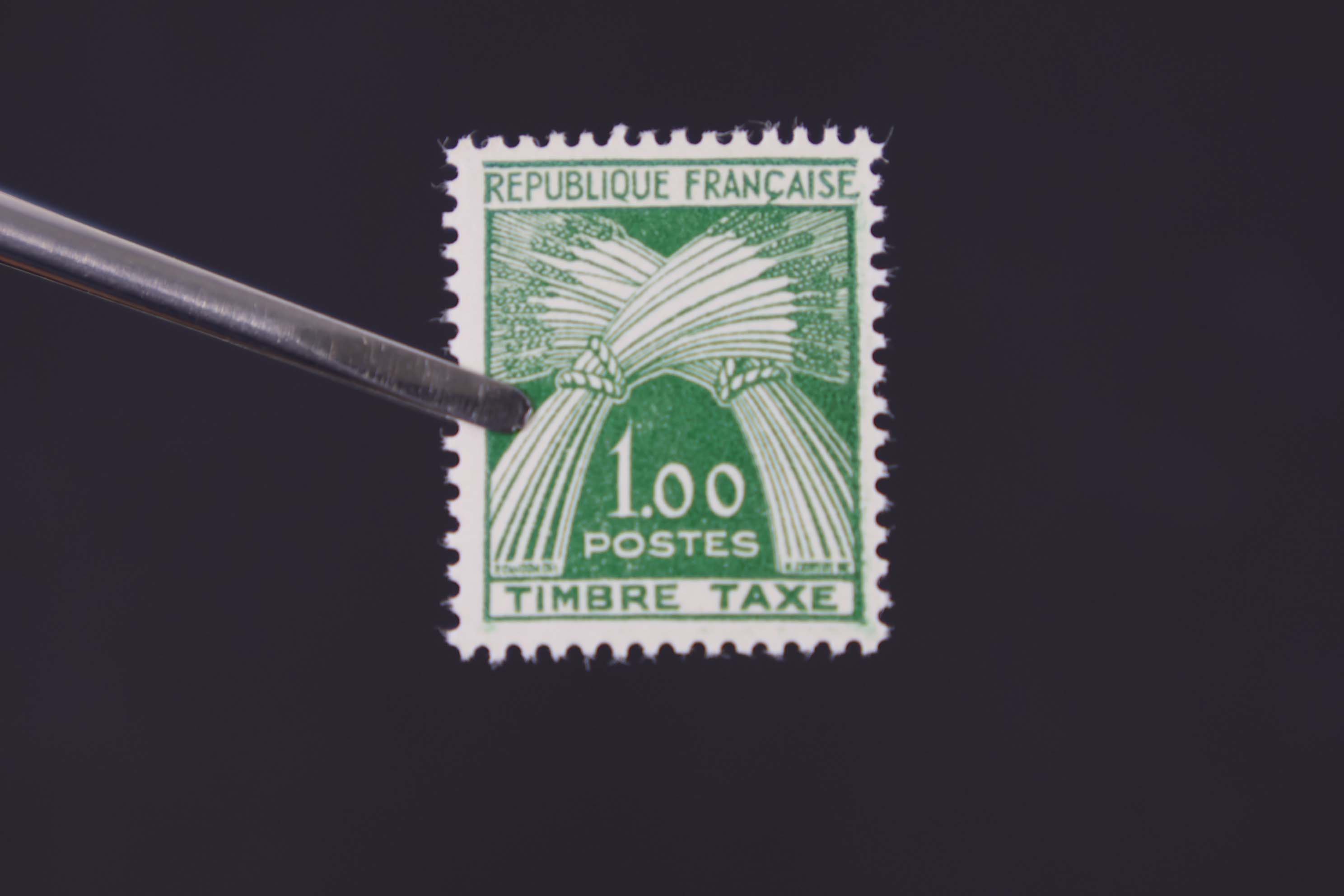 IMG-0937-1-(1)