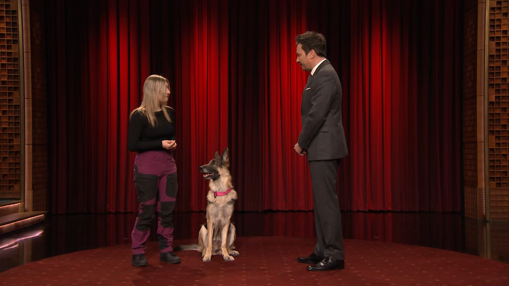 [Image: 6cf20gdbbvc0.png]