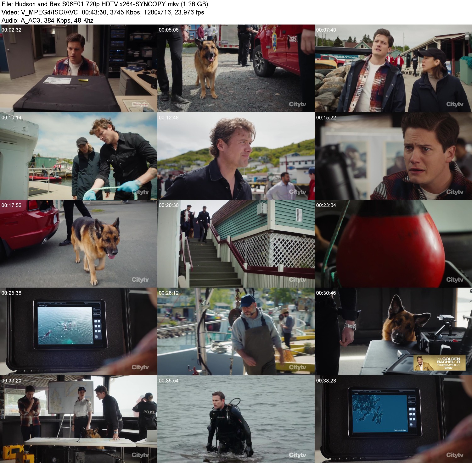 [Image: io3l77qkk0jr.jpg]