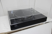 IMG-0008