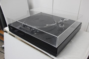 IMG-0010