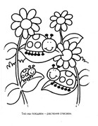 bozhiie-korovki-na-listkakh