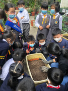 photo-littlefarmer2122-015