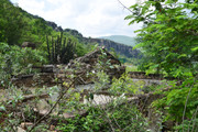 DSC-0230