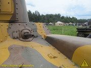 IMG-6590