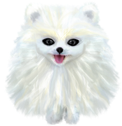 Winter-White-Elements-138