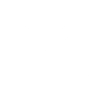 Email. icon
