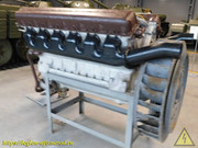 DSCN5482