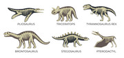 https://i.postimg.cc/34L6LTzv/dinosaur-skeleton-set-vector.jpg