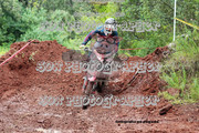 IMG-6443