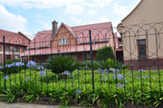 DSC-0293