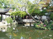 photo 8 2025 12 24 16 00 33