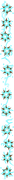 Divider-640x50-(2)