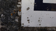 P-20200911-102807-p.jpg