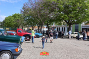 IMG-6594
