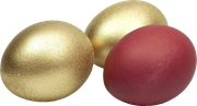 0-1c1a33-2d04dc46-orig